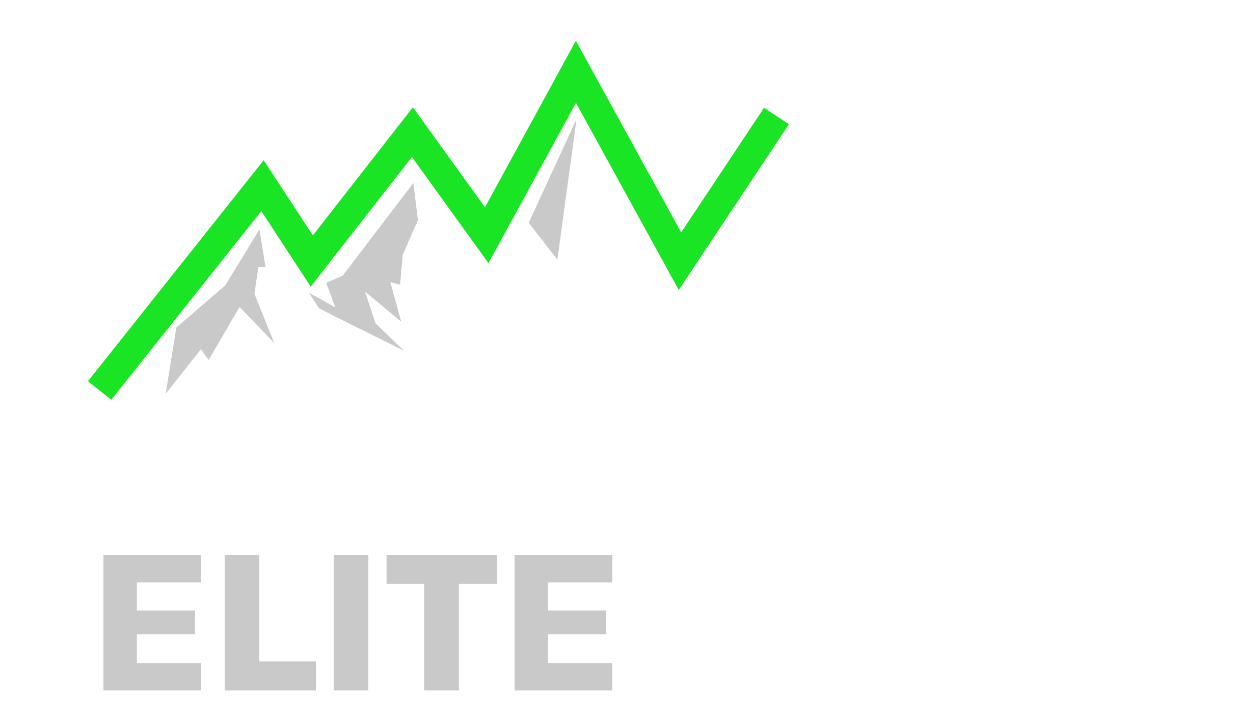 Wall Street Elite